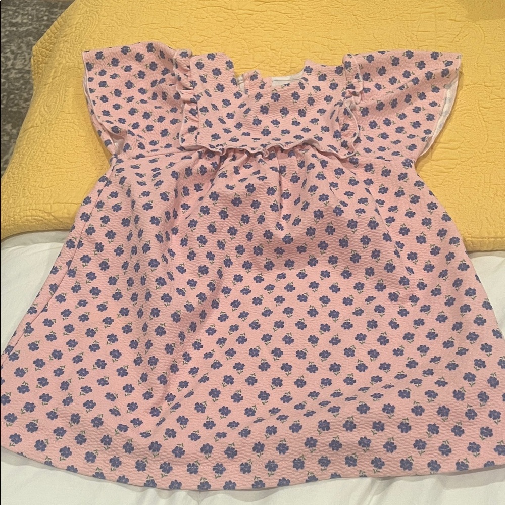 Zara Kids Pink Dress with Blue Floral Design